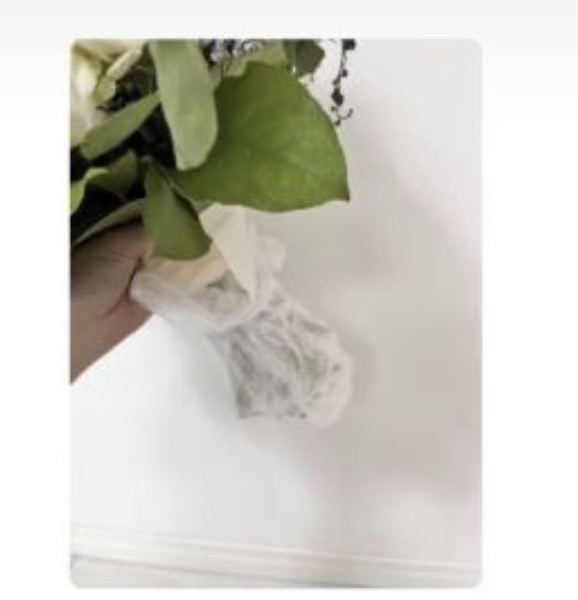 吸水方法